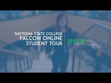 falcon online daytona state
